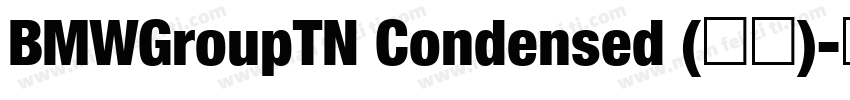 BMWGroupTN Condensed (正文)字体转换